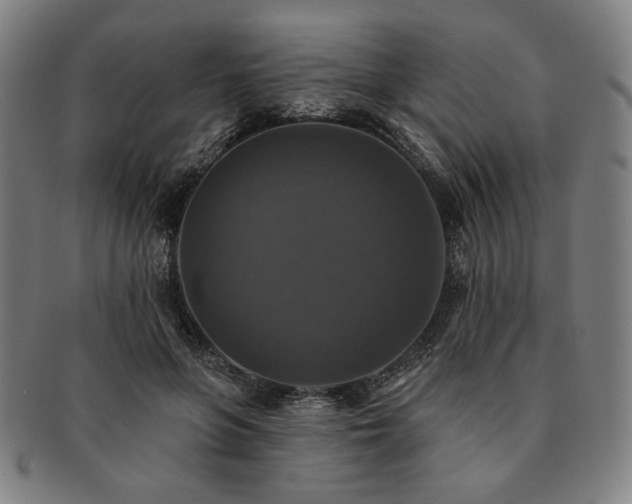 X0000091460551200708231319