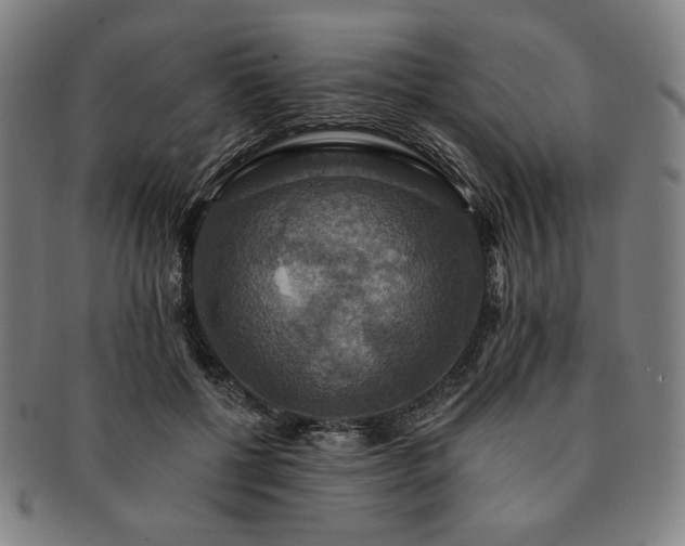 X0000091460552200708231319