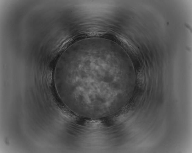 X0000091460554200708231319