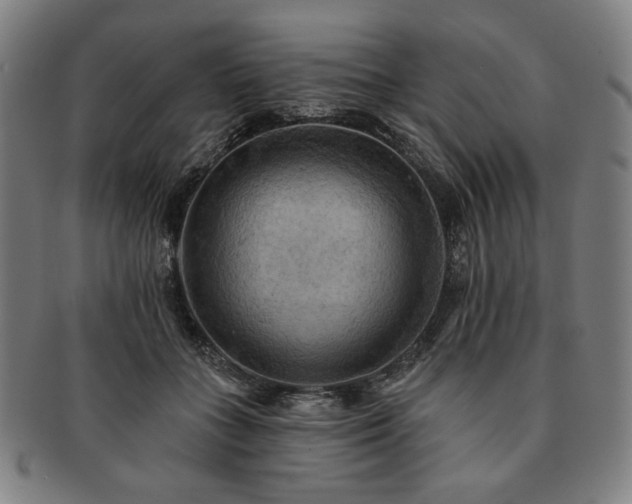 X0000091460555200708231319