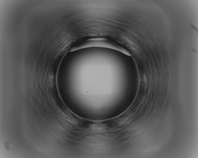 X0000091460556200708231319