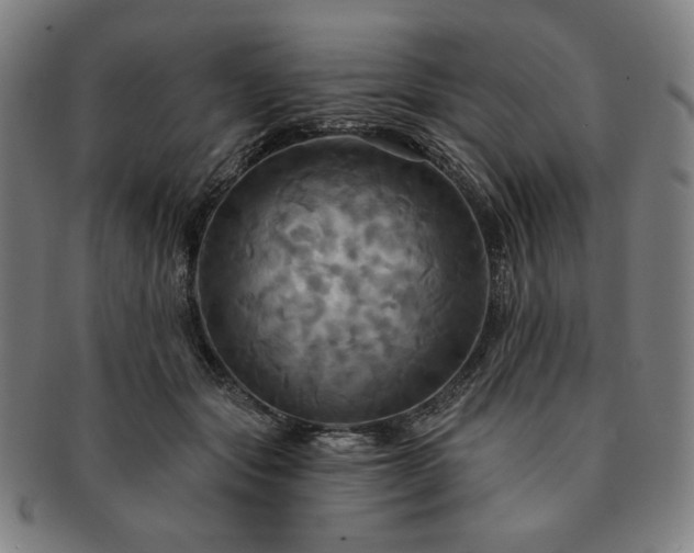 X0000091460557200708231319