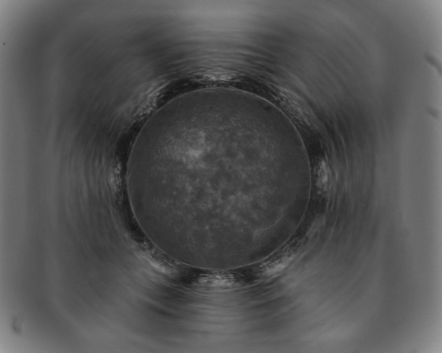 X0000091460559200708231319