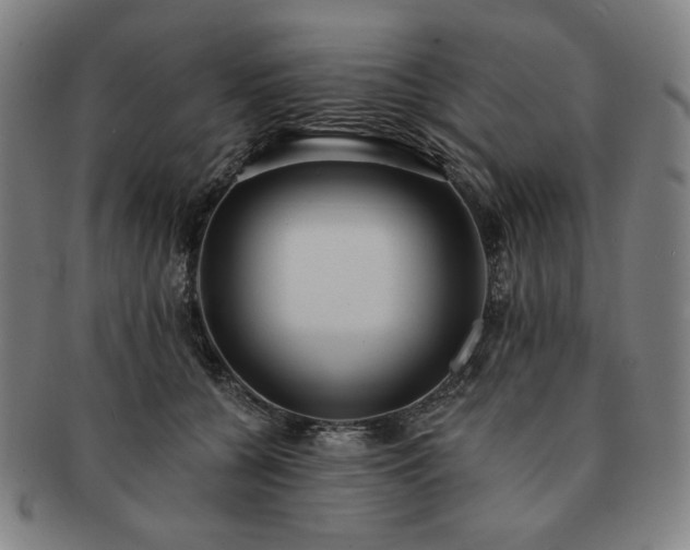 X0000091460560200708231319