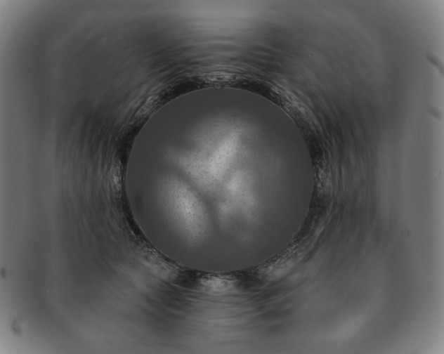 X0000091460561200708231319