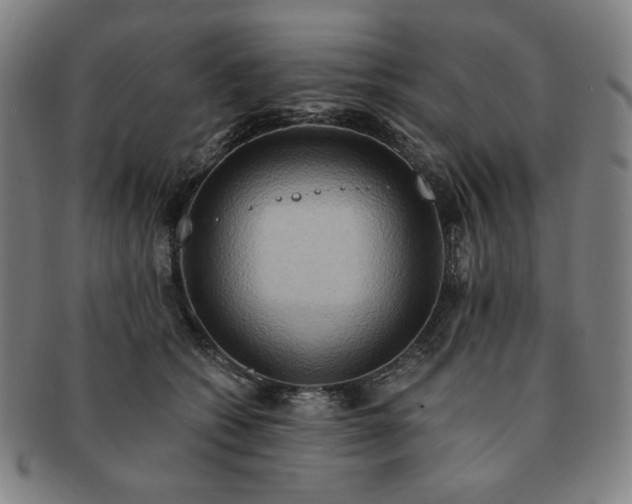 X0000091460562200708231319