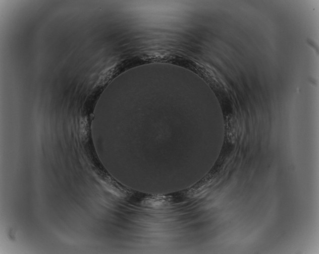 X0000091460563200708231319