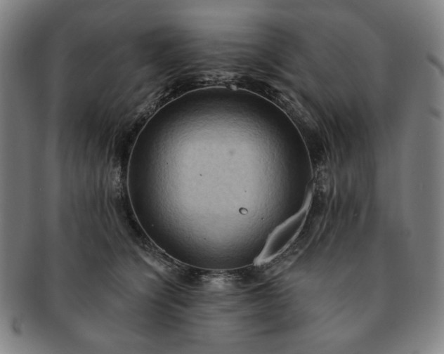 X0000091460564200708231319