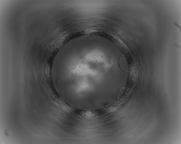 X0000091460565200708231319