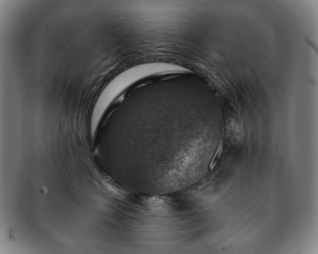X0000091460566200708231319