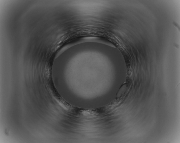 X0000091460568200708231319