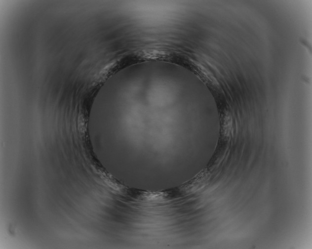 X0000091460569200708231319