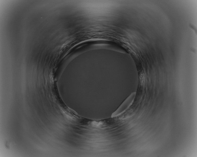 X0000091460570200708231319