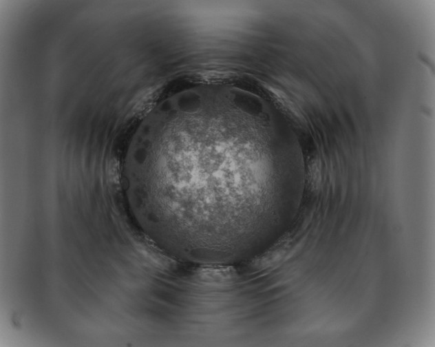 X0000091460571200708231319