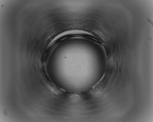 X0000091460572200708231319