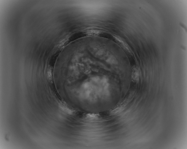 X0000091460573200708231319