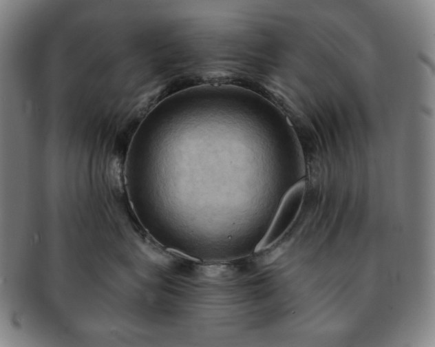 X0000091460575200708231319