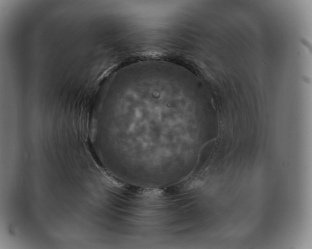 X0000091460576200708231319