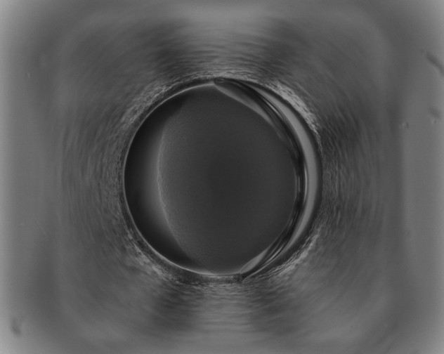 X0000091460577200708231318