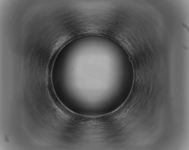 X0000091460578200708231318
