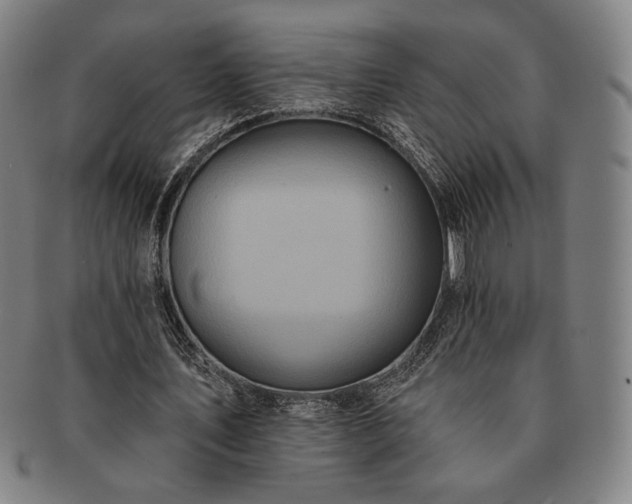 X0000091460579200708231318