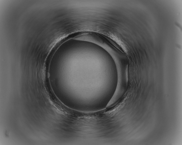 X0000091460580200708231318