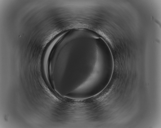 X0000091460581200708231318