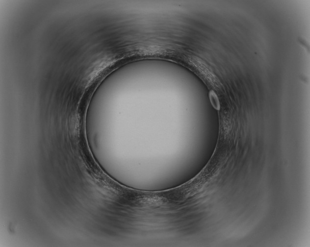 X0000091460583200708231318