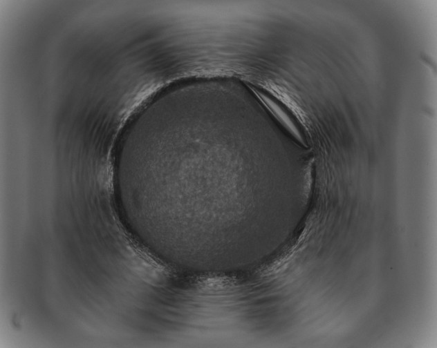 X0000091460584200708231318