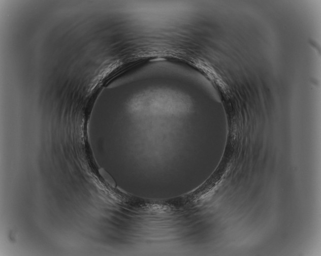 X0000091460585200708231318