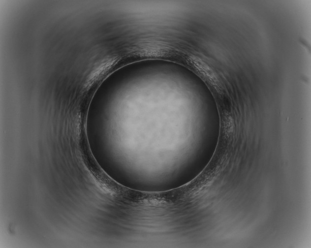 X0000091460586200708231318