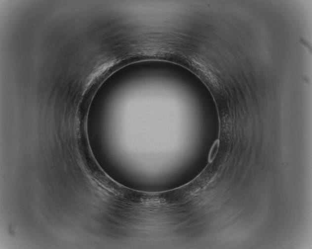 X0000091460587200708231318