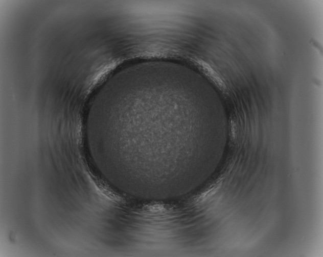 X0000091460588200708231318