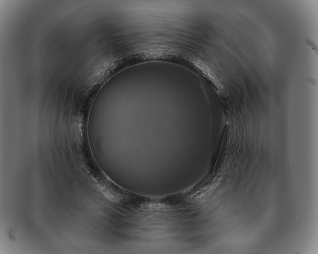 X0000091460590200708231318