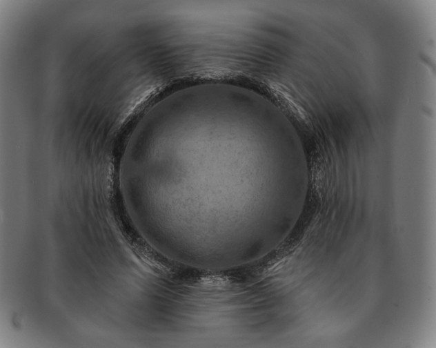 X0000091460591200708231318