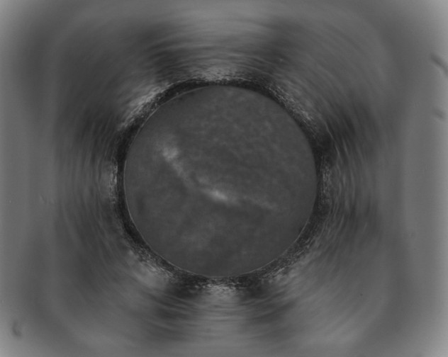 X0000091460592200708231318