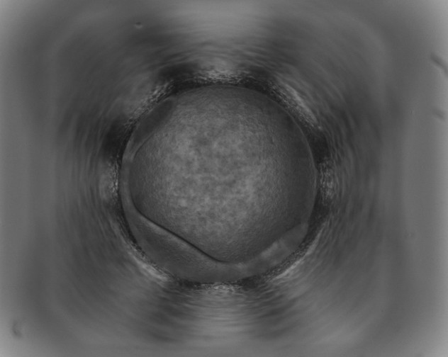 X0000091460593200708231318
