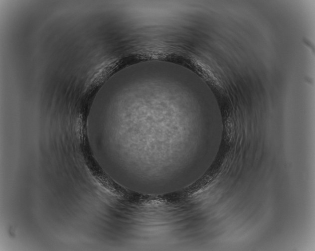 X0000091460594200708231318
