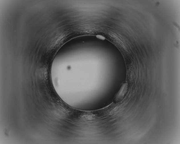 X0000091460595200708231318