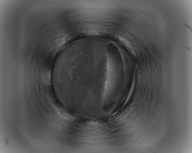 X0000091460596200708231318