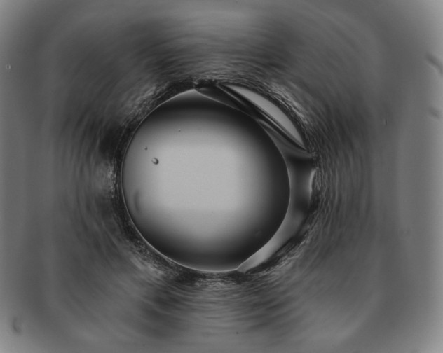 X0000091460597200708231318