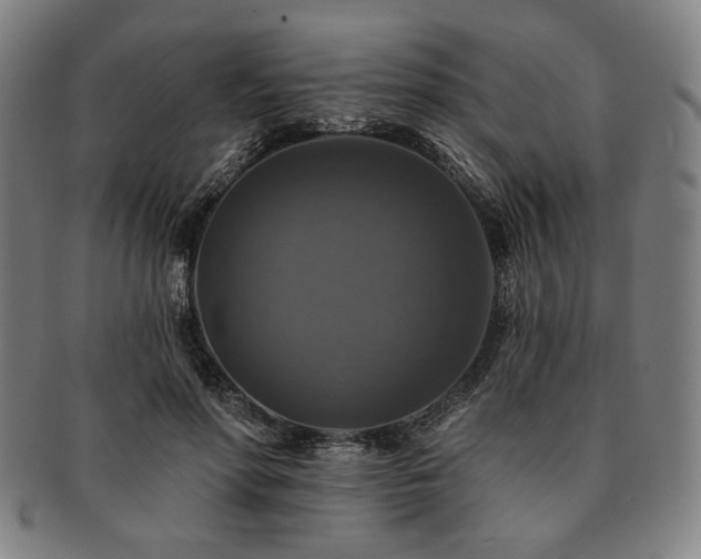 X0000091460598200708231318