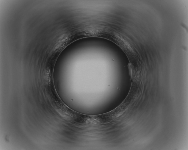 X0000091460599200708231318