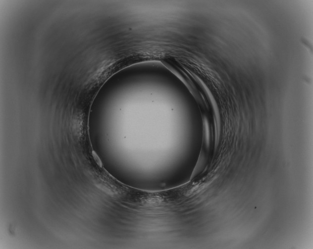 X0000091460600200708231318