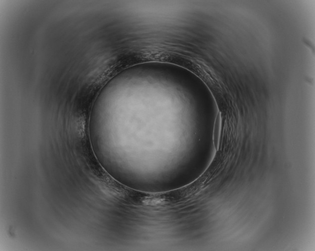 X0000091460602200708231318
