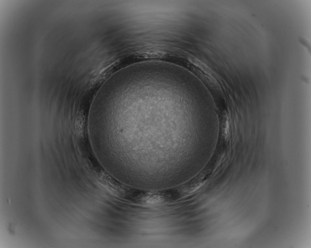 X0000091460604200708231318