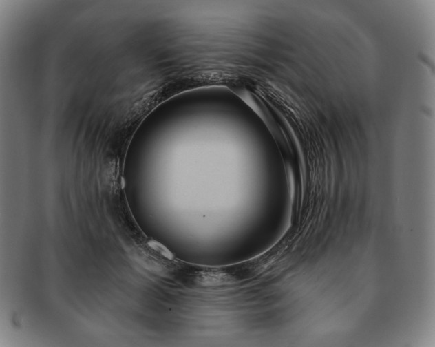 X0000091460605200708231318