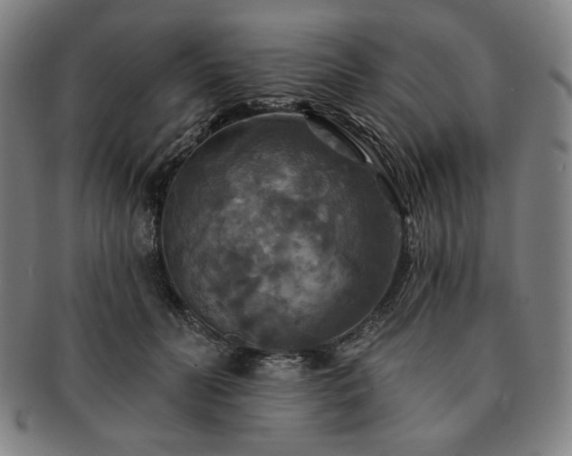 X0000091460606200708231318
