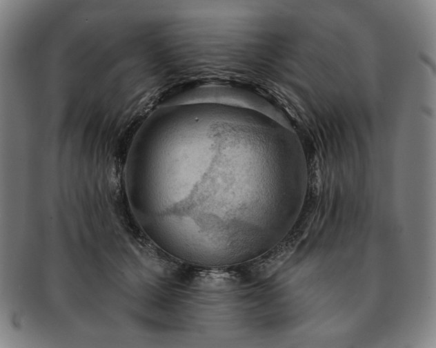 X0000091460607200708231318