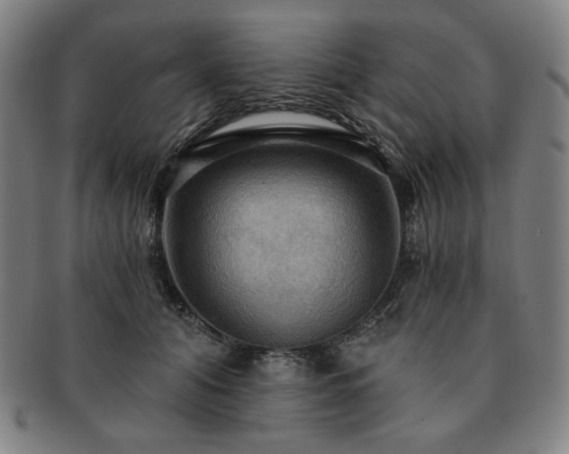 X0000091460608200708231318